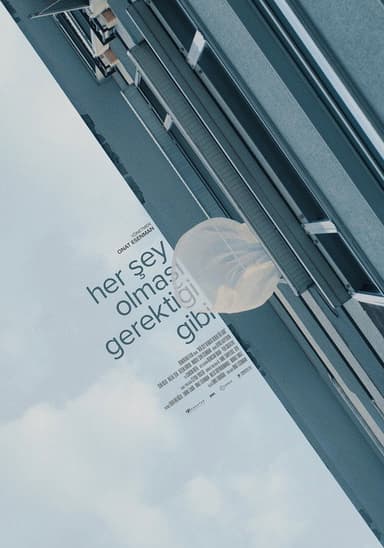 Her Şey Olması Gerektiği Gibi poster