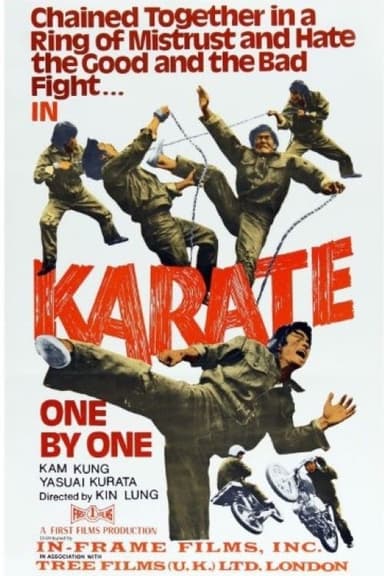 Kung Fu Powerhouse poster