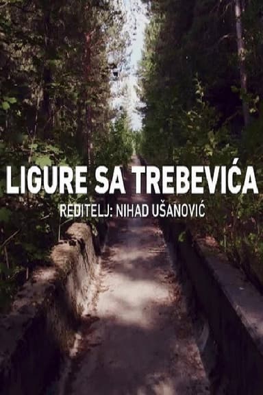 Bobsleigh in Trebevic poster