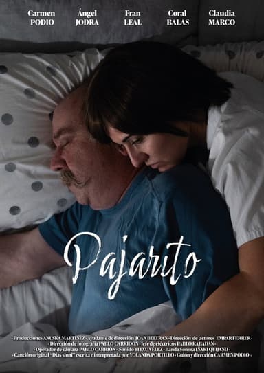 Pajarito poster