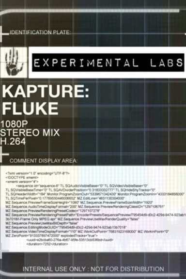 Kapture: Fluke poster
