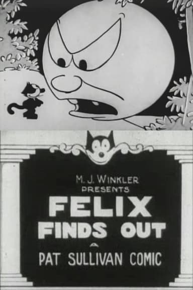 Felix Finds Out poster