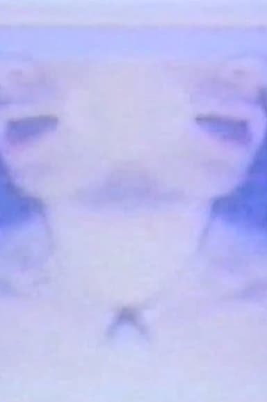 The Heavens poster