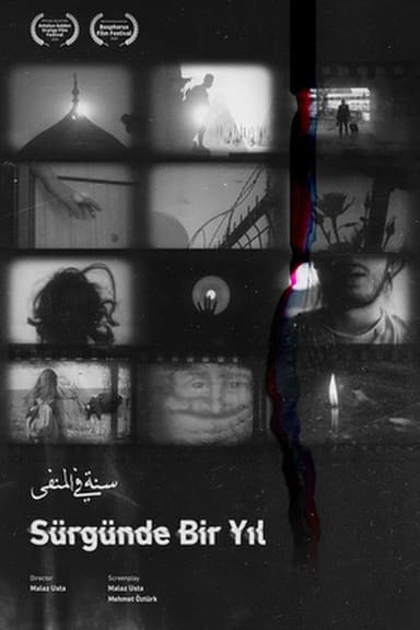 A Year in Exile poster