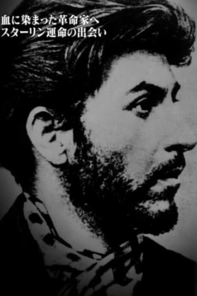 ザ・プロファイラー 2000万人を死に追いやった男～スターリン～ poster