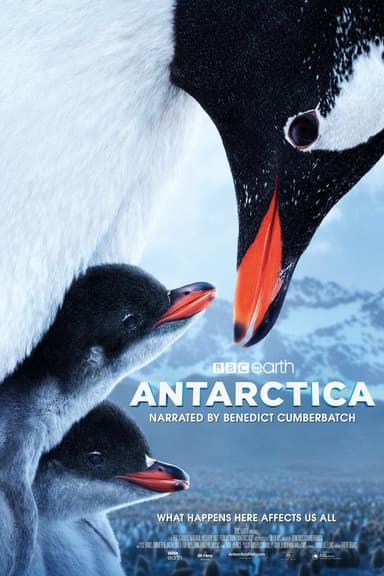 Antarctica poster