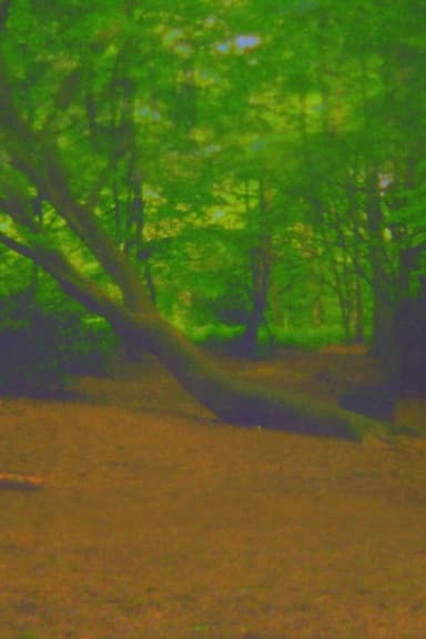 Fuck Tree poster