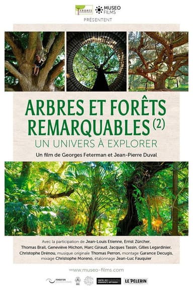 Arbres et forêts Remarquables, un univers à explorer poster