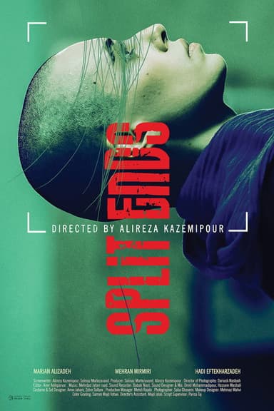 Split Ends poster