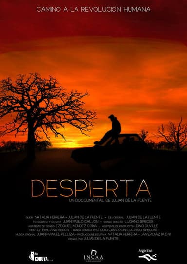 Despierta poster