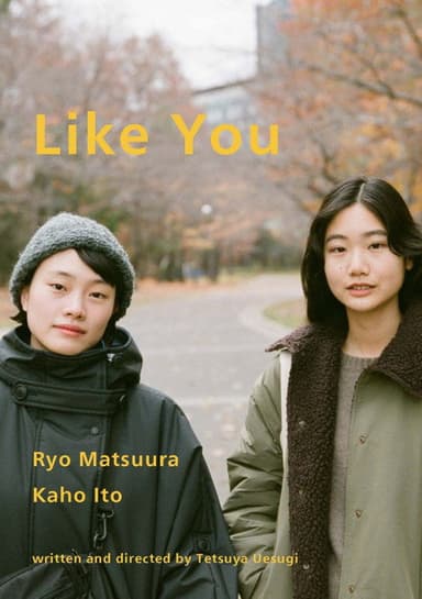 Like You poster