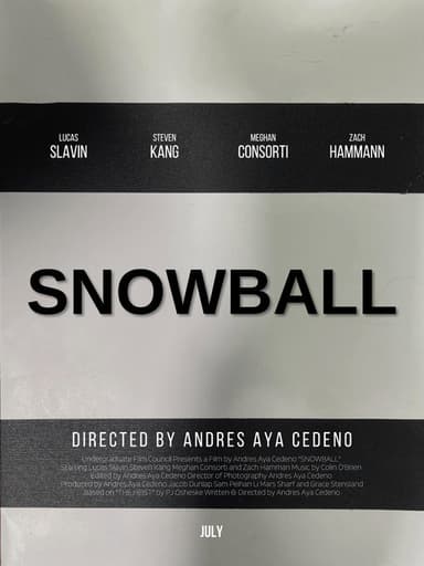 Snowball poster