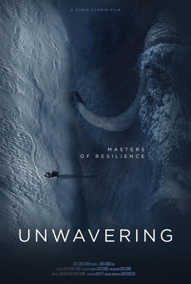 Unwavering poster