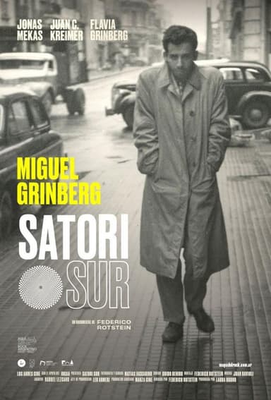 Satori Sur poster