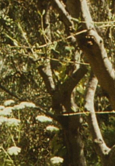 Envío 6 poster