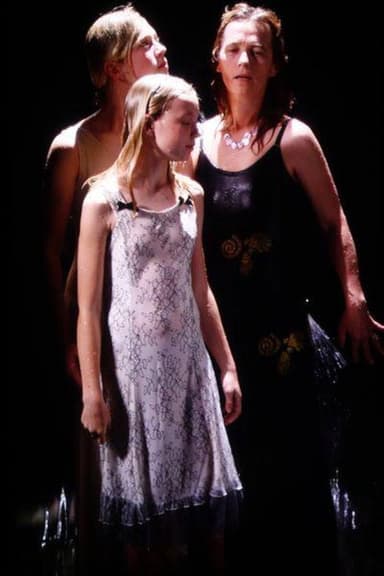 Three Women poster