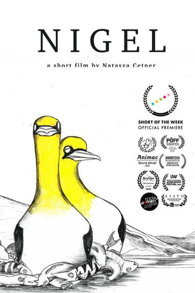 Nigel poster