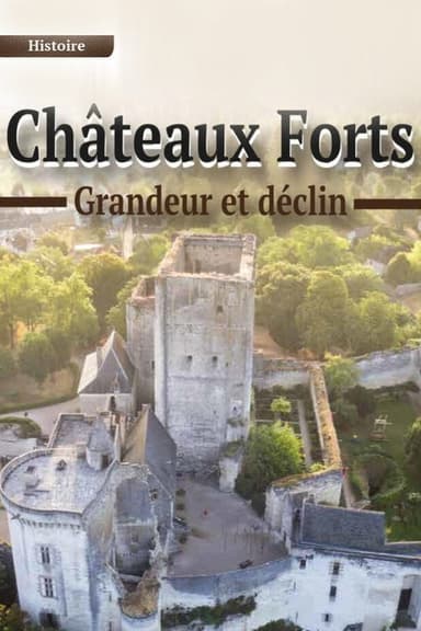 Châteaux forts : grandeur et déclin poster