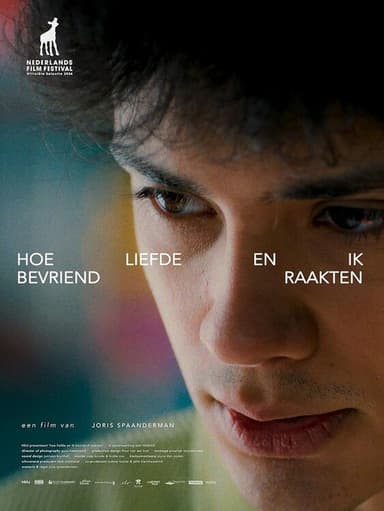 The Halation of Love poster