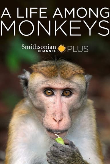 A Life Among Monkeys poster