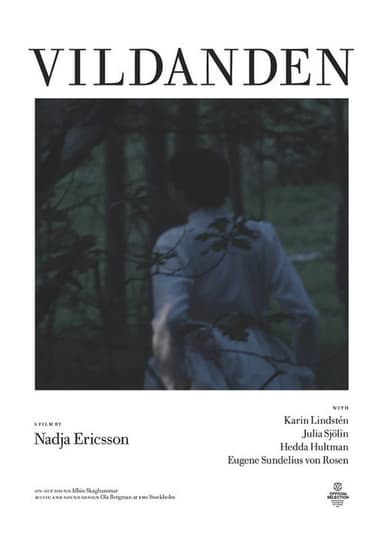 The Wild Duck poster