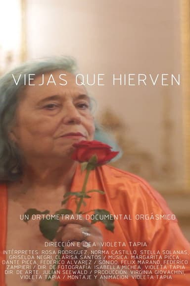 Old women that boil poster