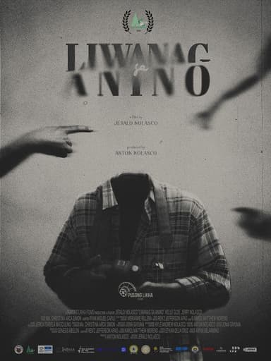 Light in the Shadow poster