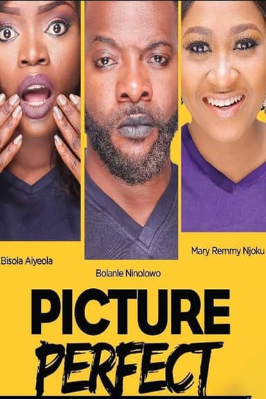 Picture Perfect poster