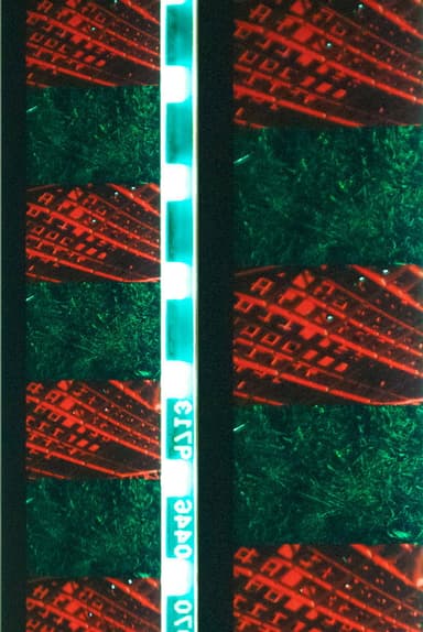 Red Green poster