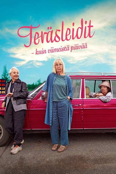 Teräsleidit – kuin viimeistä päivää poster