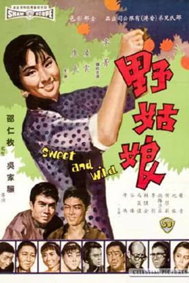 Sweet and Wild poster