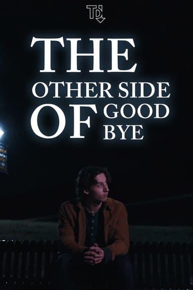 The Other Side of Goodbye poster