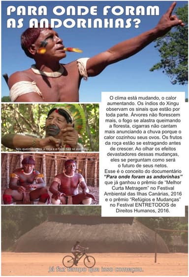 Para Onde Foram as Andorinhas? poster