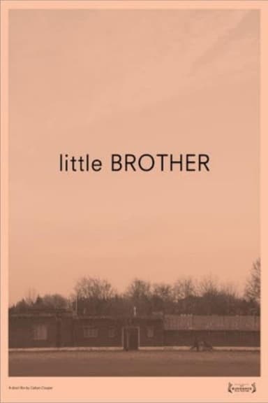 Little Brother poster