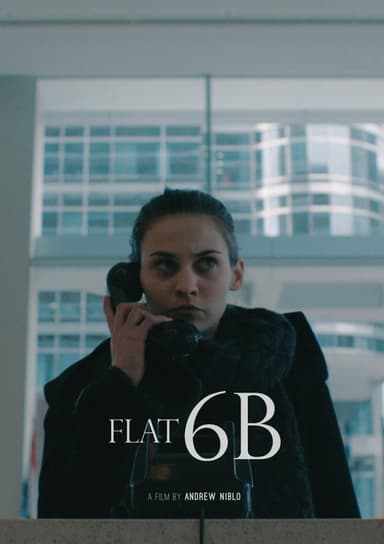 Flat 6B poster