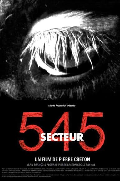 Secteur 545 poster
