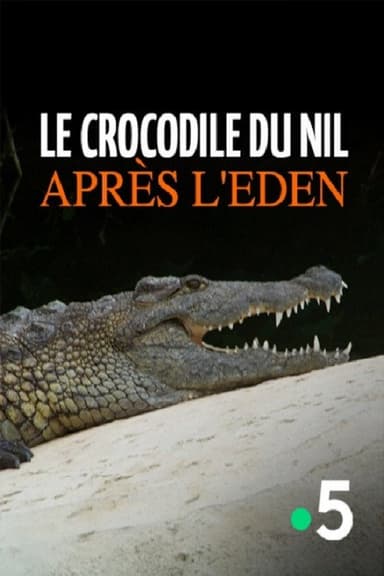 Le crocodile du Nil après l'eden poster