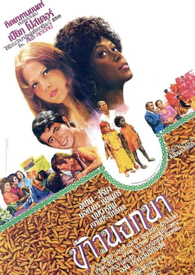 The American Surplus poster