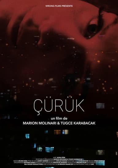 Çürük poster