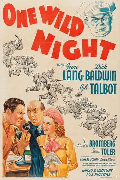 One Wild Night poster
