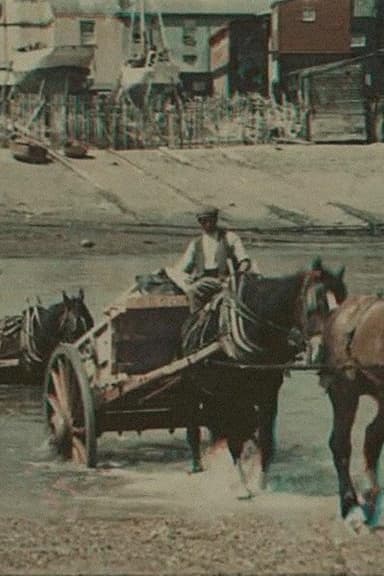 Fording the River poster