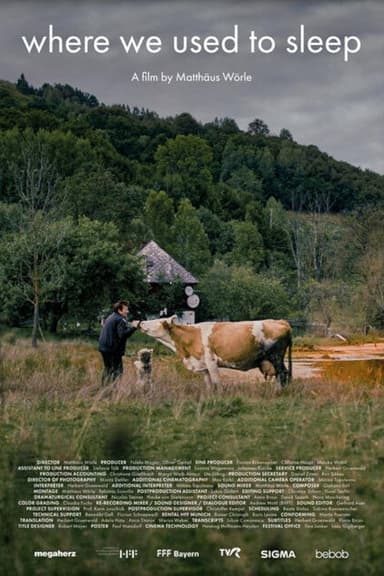 Where We Used to Sleep poster