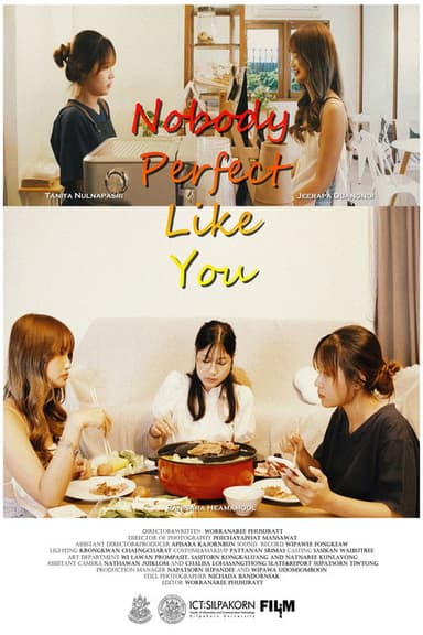 Nobody Perfect Like You poster