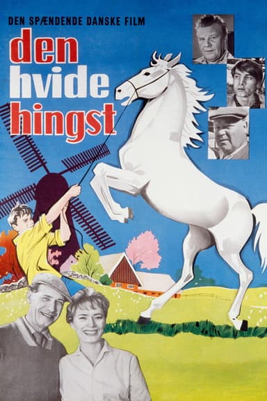 The Boy Who Loved Horses poster