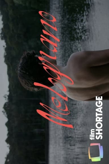 Melograno poster