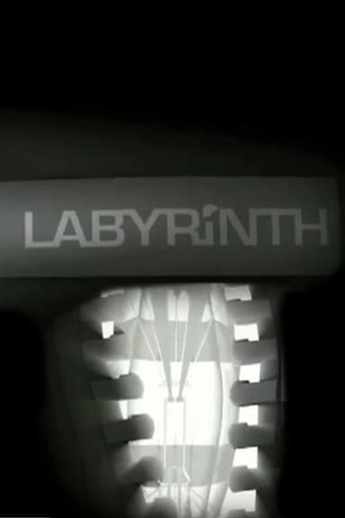 Labyrinth poster