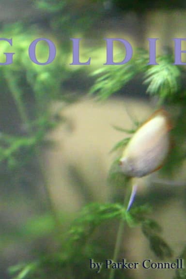 Goldie poster