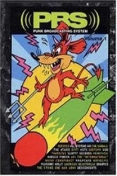 PBS: Punk Broadcasting System poster
