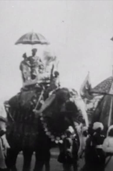 Procession of Elephants with Howdahs - India poster