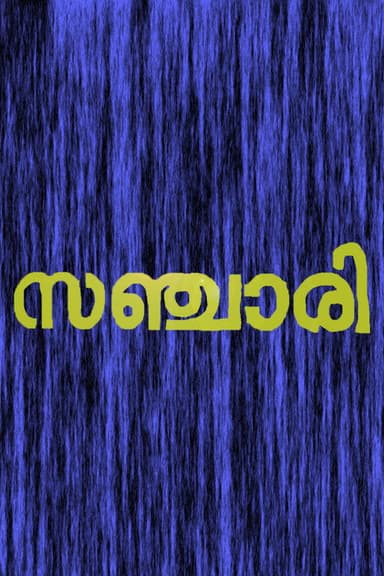 Sanchari poster